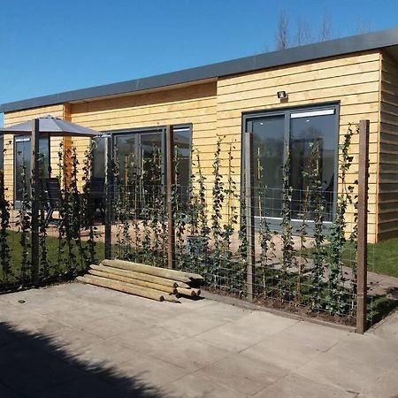 Luxe Vakantie Bungalow Met 3 Slaapkamers Dronrijp Exteriör bild